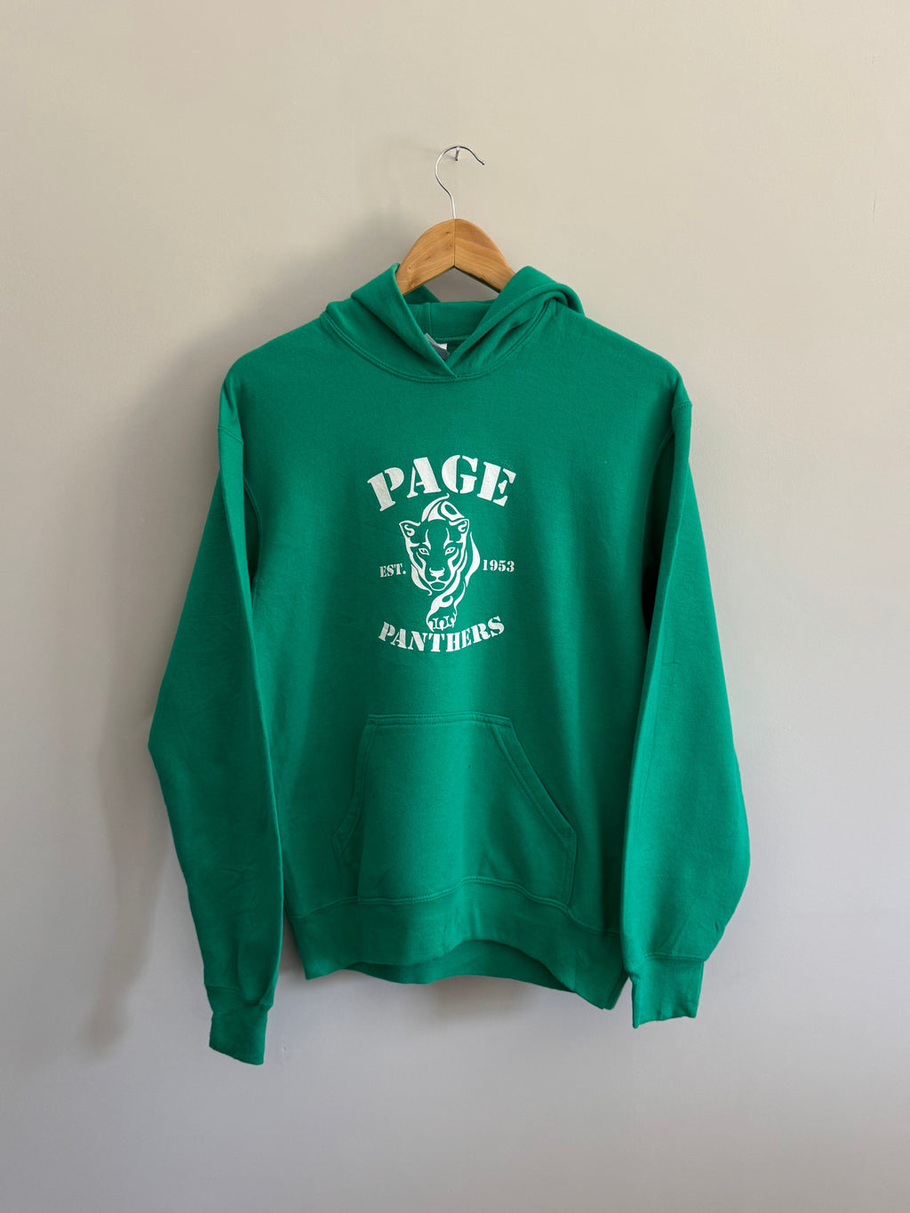 Page Panthers Collegiate Graphic Hoodie - XL